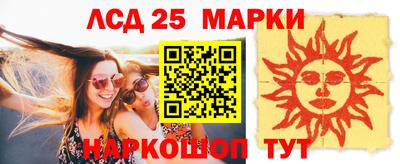 apvp Ярославль