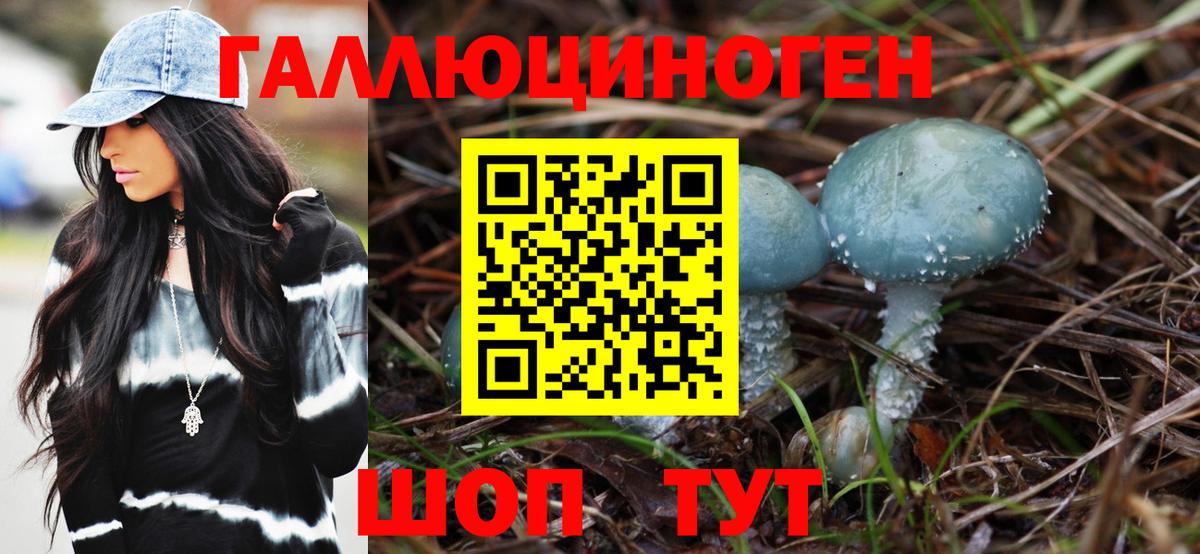 Псилоцибиновые грибы ЛСД  Псилоцибиновые грибы Psilocybe  Богородск  сколько стоит  Вход с VPN 